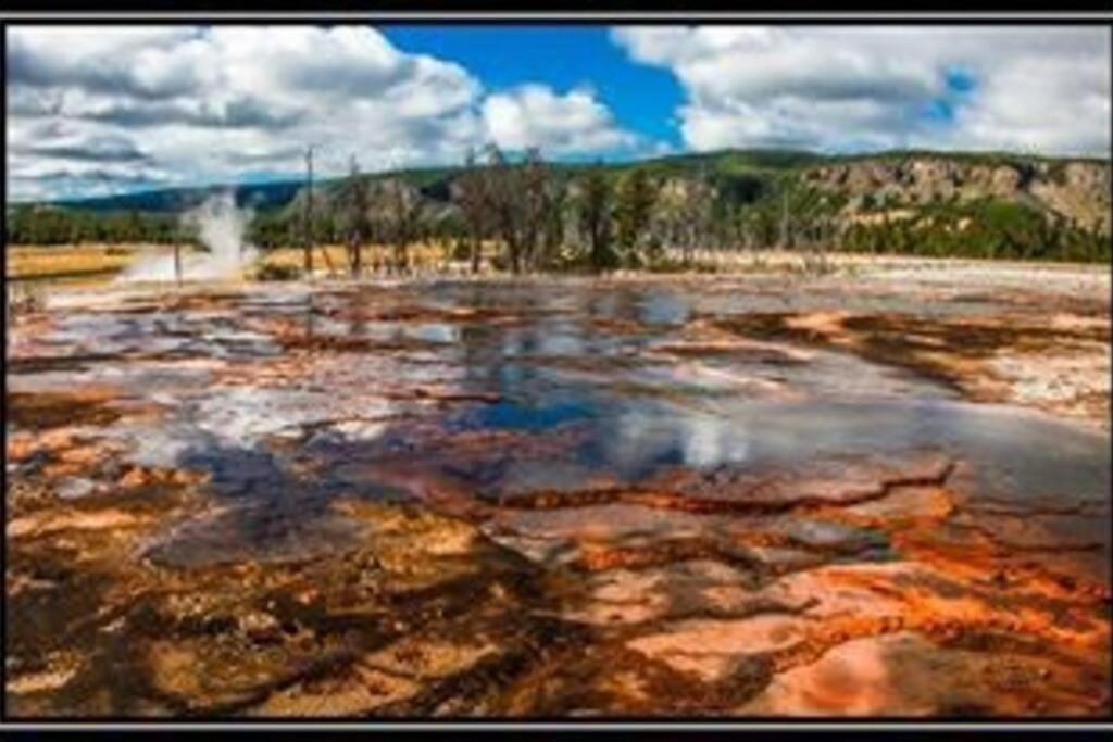 White Owl Retreat Yellowstone Grand Teton ไอส์แลนด์พาร์ก ภายนอก รูปภาพ